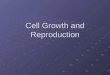 Cell Growth and Reproduction. Limitations on Cell Size Diffusion Larger the cell, the longer it takes to get nutrients from outside the cell through diffusion