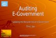 19th WGITA-meeting Beijing April 2010 - Auditing e-Government 1