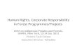 Human Rights, Corporate Responsibility in Forest Programmes/Projects EGM on Indigenous Peoples and Forests, UNPFII, New York, 12-14 Jan. 2011 Victoria