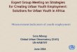 Expert Group Meeting on Strategies for Creating Urban Youth Employment: Solutions for Urban Youth in Africa Gora Mboup Global Urban Observatory (GUO) UN-HABITAT