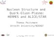 T. Peitzmann, NUPECC Groningen, Nov. 18, 2005 Nucleon Structure and Quark-Gluon-Plasma: HERMES and ALICE/STAR Thomas Peitzmann Utrecht University/NIKHEF