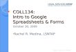 COLL134: Intro to Google Spreadsheets & Forms October 30, 2009 Rachel R. Medina, LSNTAP