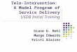 Tele-Intervention: A Model Program of Service Delivery USDB Initial Training Diane D. Behl Marge Edwards Kristi Blaiser
