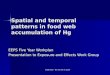 Draft Data - Do not cite or quote Spatial and temporal patterns in food web accumulation of Hg EEPS Five Year Workplan Presentation to Exposure and Effects
