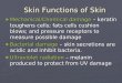 Skin Functions of Skin Mechanical/Chemical damage – keratin toughens cells; fats cells cushion blows; and pressure receptors to measure possible damage