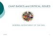 8/28/081 CAAP BASICS and CRITICAL ISSUES GENERAL SECRETARIAT OF THE OAS