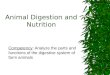 Animal Digestion and Nutrition Competency: Analyze the parts and functions of the digestive system of farm animals