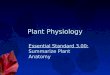 Plant Physiology Essential Standard 3.00: Summarize Plant Anatomy