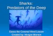 Sharks: Predators of the Deep Guess the Covered Word Lesson Created by: Morgan Blanton