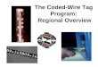 The Coded-Wire Tag Program: Regional Overview. Coded Wire Tags: Tiny Tool for Stock Identification –Stainless steel micro-tag –Introduced in late 1960s