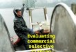 Evaluating commercial selective fishing. C.E. Ashbrook J.F. Dixon A.Hoffmann K. E. Ryding E. A. Schwartz J.R. Skalski R. Townsend G.E. Vander Haegen K.W