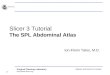 Surgical Planning Laboratory  -1- Brigham and Womens Hospital Slicer 3 Tutorial The SPL Abdominal Atlas Ion-Florin Talos, M.D