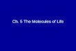 Ch. 5 The Molecules of Life. 5.1 Carbon is the main ingredient of organic molecules