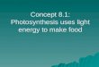 Concept 8.1: Photosynthesis uses light energy to make food
