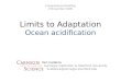 Limits to Adaptation Ocean acidification Congressional Briefing 9 November 2009 Ken Caldeira Carnegie Institution & Stanford University kcaldeira@carnegie.stanford.edu