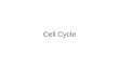 Cell Cycle. Life cycle of a cell The cell cycle consists of: G1 = growth and preparation of the chromosomes for replication S = synthesis of DNA (and