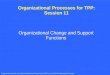 Organizational Processes for TPP: Session 11 Organizational Change and Support Functions Materials Developed by Joel Cutcher-Gershenfeld and Thomas Kochan