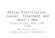 Atrial Fibrillation, Causes, Treatment and Whats New Louann Bailey, MSN, CRNP. FAANP Northeast Ohio Cardiovascular Specialist