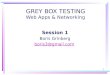 1 GREY BOX TESTING Web Apps & Networking Session 1 Boris Grinberg boris3@gmail.com