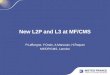 New L2P and L3 at MF/CMS P.LeBorgne, F.Orain, A.Marsouin, H.Roquet MF/DP/CMS, Lannion