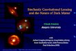 Stochastic Gravitational Lensing and the Nature of Dark Matter Chuck Keeton Rutgers University Gravitational lens database -- 