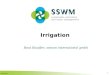 Irrigation 1 Beat Stauffer, seecon international gmbh