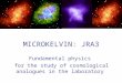 MICROKELVIN: JRA3 Fundamental physics for the study of cosmological analogues in the laboratory