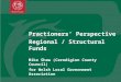 Practioners Perspective Regional / Structural Funds Mike Shaw (Ceredigion County Council) for Welsh Local Government Association 9 th December 2010