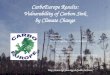 CarboEurope Results: Vulnerability of Carbon Sink by Climate Change Chairman Han Dolman Alterra, Wageningen, The Netherlands European Office Annette Freibauer