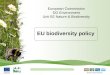 1 EU biodiversity policy European Commission DG Environment Unit B2 Nature & Biodiversity