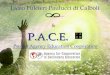 & P.A.C.E. P.A.C.E. Project Agency Education Cooperation Liceo Fulcieri Paulucci di Calboli