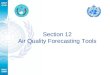 AREP GAW Section 12 Air Quality Forecasting Tools