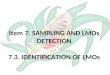 Item 7. SAMPLING AND LMOs DETECTION 7.3. IDENTIFICATION OF LMOs