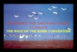 SECURING THE SIBERIAN CRANE FLYWAYS THE ROLE OF THE BONN CONVENTION
