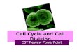 Cell Cycle and Cell Division CST Review PowerPoint