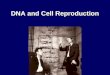 DNA and Cell Reproduction. Structure of DNA Deoxyribonucleic Acid DNA is one of the two nucleic acids –DNA –RNA It is composed of repeating subunits (monomers)