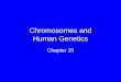 Chromosomes and Human Genetics Chapter 15. Chromosomes & Cancer Some genes on chromosomes control cell growth and division If something affects chromosome