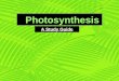 Photosynthesis A Study Guide. O 2 and glucose CO 2 H2OH2O Plants can make its own food [glucose] by using light from the Sun. A by-product of this process