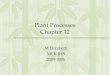 Plant Processes Chapter 12 M.Elizabeth MLK JHS 2005-2006