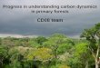 Progress in understanding carbon dynamics in primary forests CD08 team