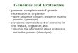 Genomes and Proteomes genome: complete set of genetic information in organism gene sequence contains recipe for making proteins (genotype) proteome: complete