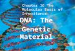 DNA: The Genetic Material Chapter 16 The Molecular Basis of Inheritance