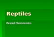 Reptiles General Characteristics. Classification Phylum Chordata Phylum Chordata Subphylum Vertebrata Subphylum Vertebrata - Class Reptilia Order Squamata-
