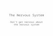 The Nervous System Dont get nervous about the nervous system