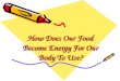How Does Our Food Become Energy For Our Body To Use?