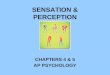 SENSATION & PERCEPTION CHAPTERS 4 & 5 AP PSYCHOLOGY