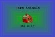 Farm Animals Who am I?. Chicken We eat eggs that are laid by farm animals. What animal lays these eggs? It starts with the letter C. Insert picture of