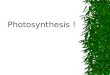 Photosynthesis !. Which of the following best describes photosynthesis? 1. Makes energy from sunlight 2. Converts food to energy 3. Converts energy (sunlight)