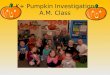 K+ Pumpkin Investigation A.M. Class. The pumpkin felt smooth and yucky!
