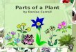 Parts of a Plant by Denise Carroll. Living Things All living things grow and change. All living things need food, water, and air to live